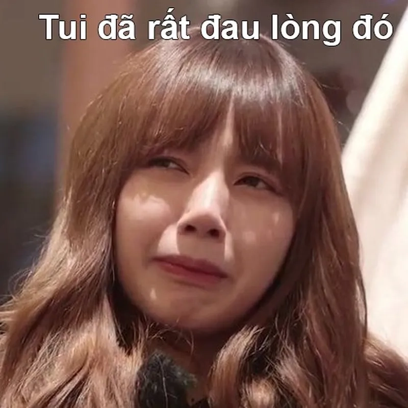 Giải trí với loạt blackpink house meme dễ thương và đáng yêu
