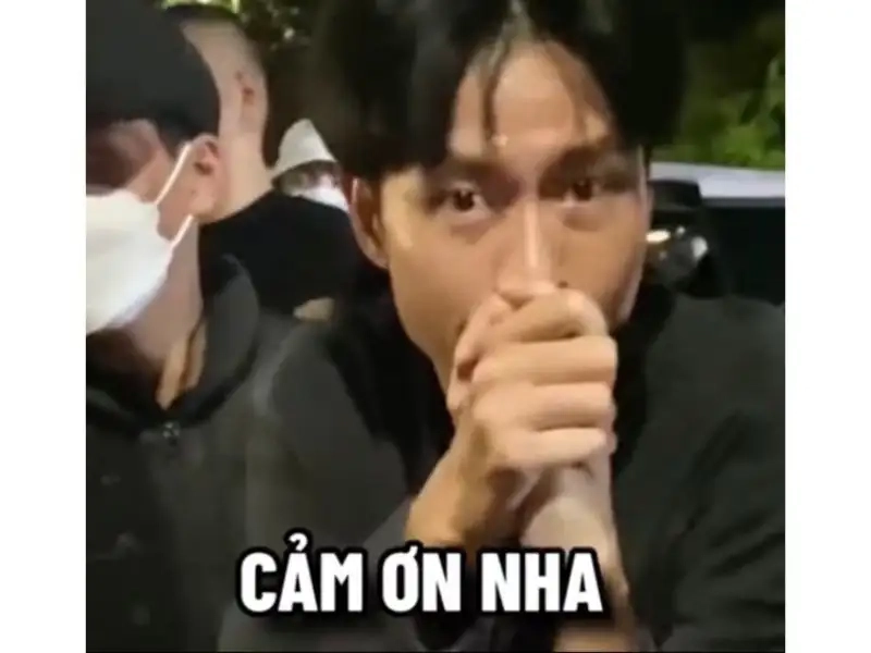 Meme cảm ơn là gì?