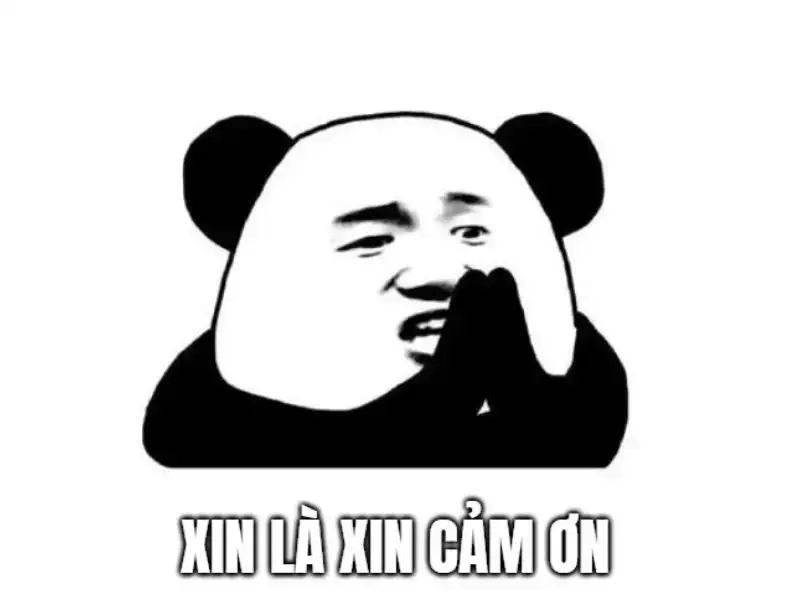 Thay lời tri ân độc lạ bằng xin cảm ơn meme chuẩn hài hước