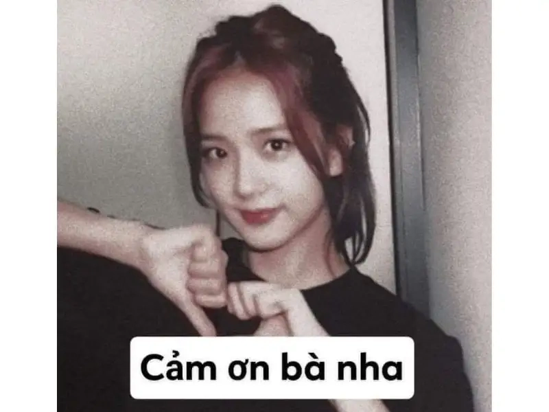 Chia sẻ cảm xúc chân thành qua meme xin cảm ơn được yêu thích