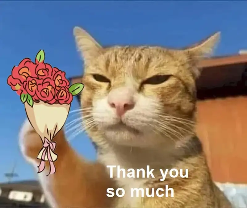 Làm mới cảm xúc bằng meme cảm ơn sến cực ngọt ngào