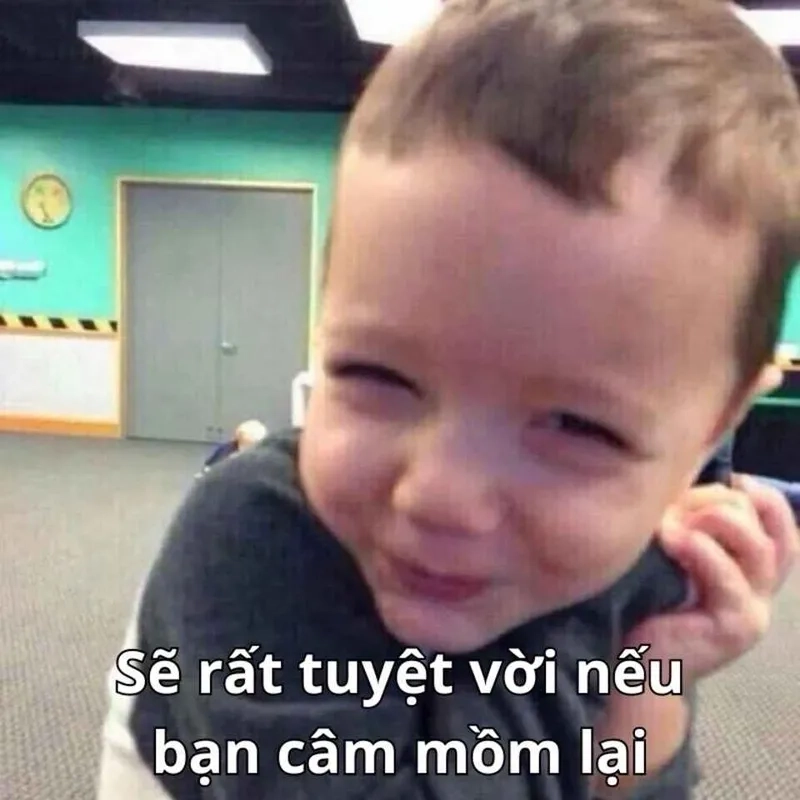 Bộ meme chửi bậy khiến bạn cười không ngớt