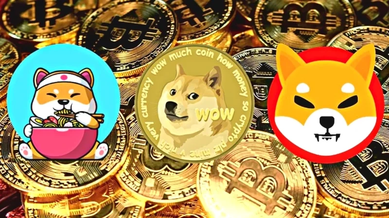 Thị trường biến động mạnh kiểm tra ngay meme coin price