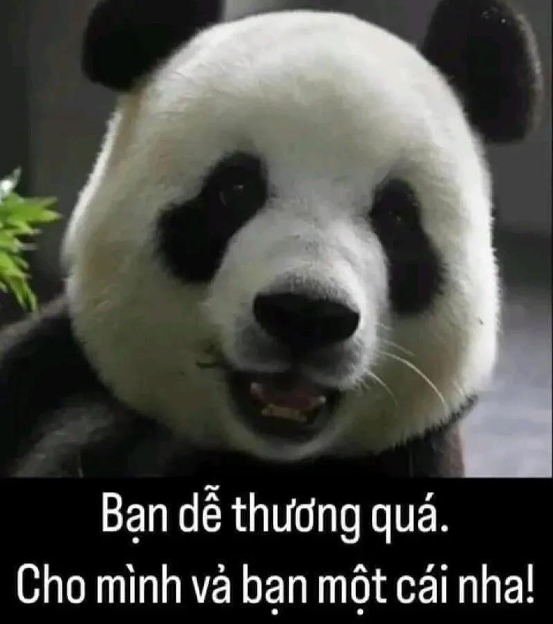 Thả ngay bộ sưu tập cute meme siêu dễ thương cho hội bạn thân