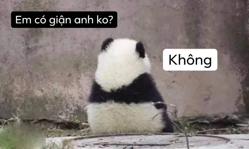 Khám phá hàng ngàn hình meme cute hot trend nhất hiện nay