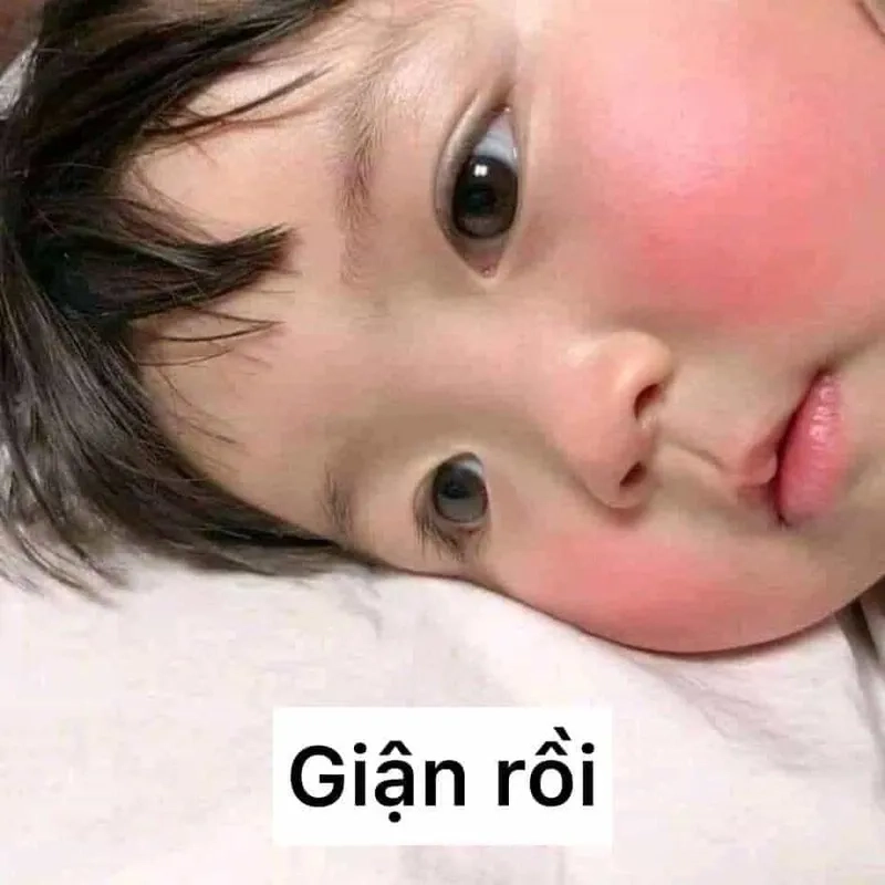 Top cute meme hài khiến bạn cười nghiêng ngả không ngừng