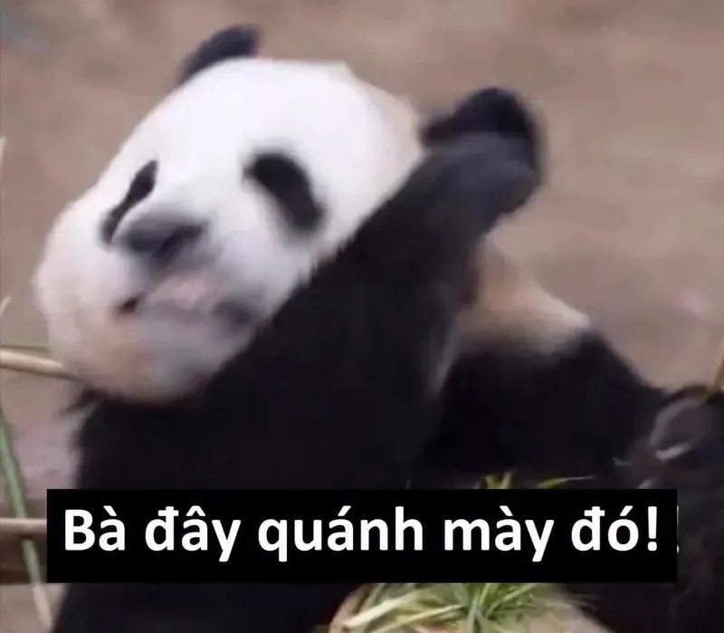 Ngắm ngay loạt meme cute hình icon dễ thương khiến tim tan chảy