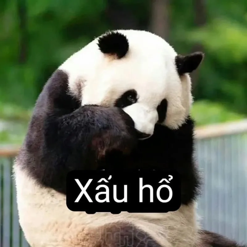 Bộ sưu tập dễ thương icon ảnh meme cute hot nhất