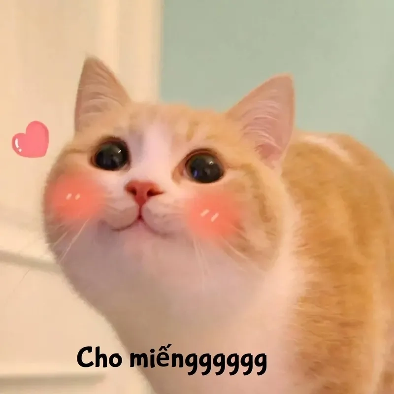 Troll bá đạo cùng khia ảnh meme cute cực chất trên mạng xã hội