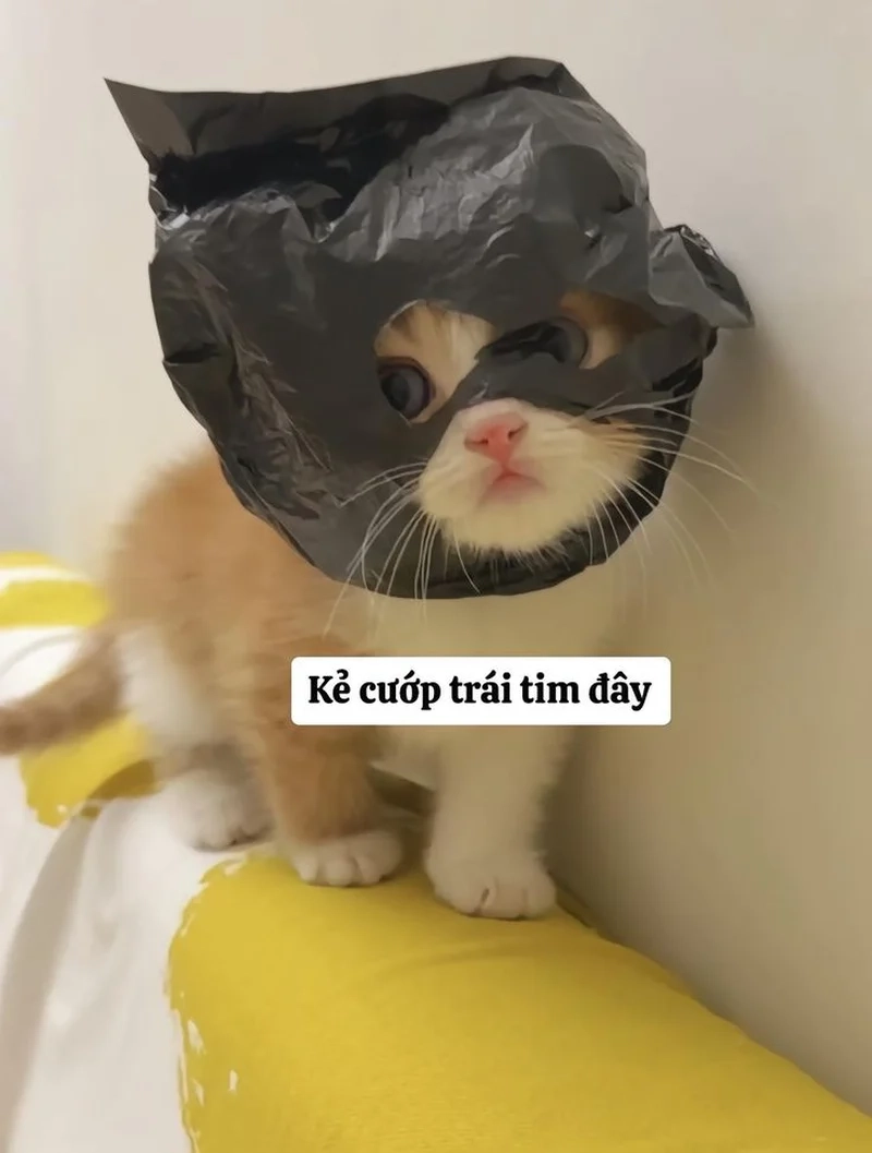Tuyển chọn chế meme hài đỉnh cao của sáng tạo