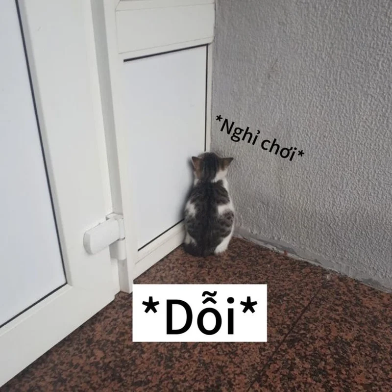 Không thể bỏ lỡ ảnh chế meme hài hot trend năm nay