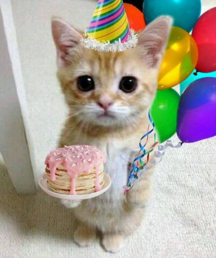 Tải ngay hình chúc mừng sinh nhật meme độc lạ miễn phí