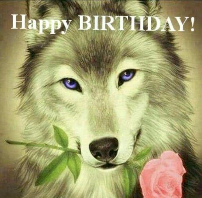 Gửi bạn bè meme happy birthday friend siêu hài hước