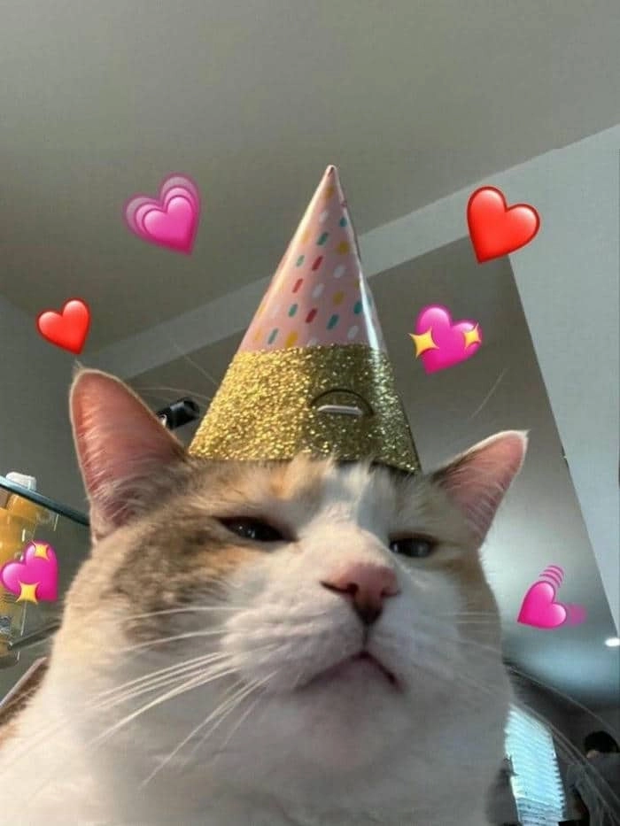 Chia sẻ happy birthday meme gif để chúc mừng siêu độc