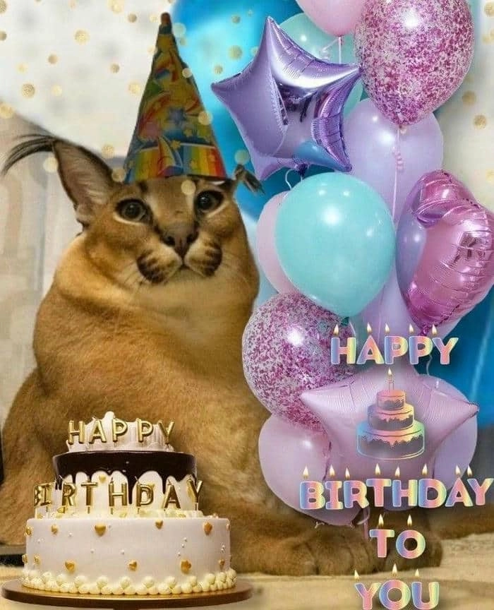 Sáng tạo tiệc vui với meme happy birthday to you hot nhất