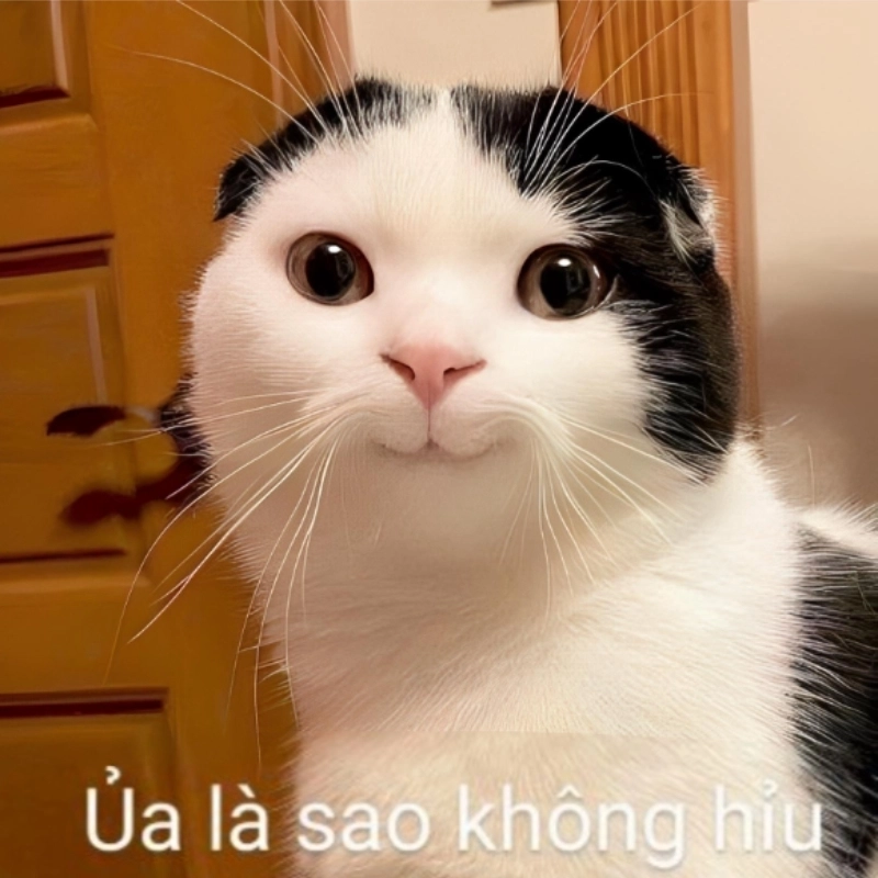 Meme khó hiểu là gì?