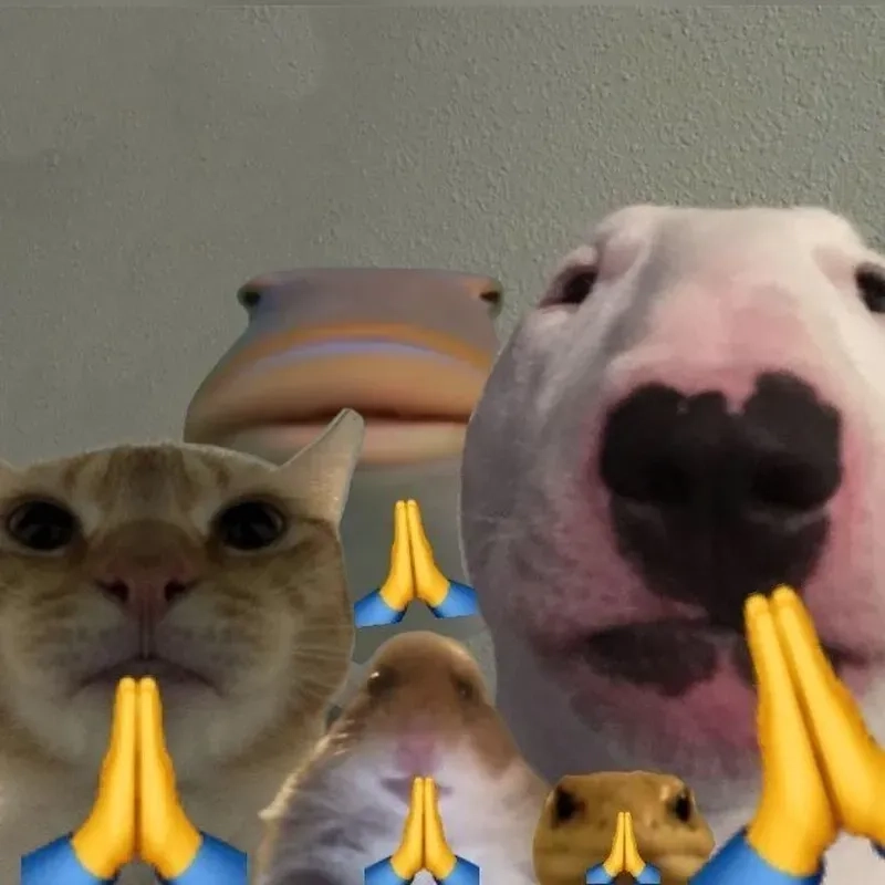 Khi gặp tình huống “trời ơi đất hỡi” chỉ biết meme quỳ lạy