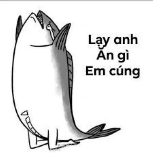 Biểu lộ sự kính trọng thì dùng ngay lạy meme