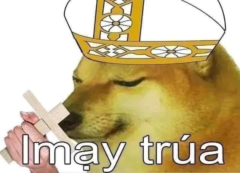 Meme hài cực mạnh, mọi người chỉ biết meme lạy