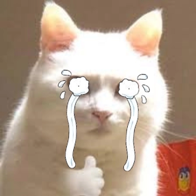 Chỉ có ảnh meme mèo khóc mới hiểu tâm trạng hôm nay