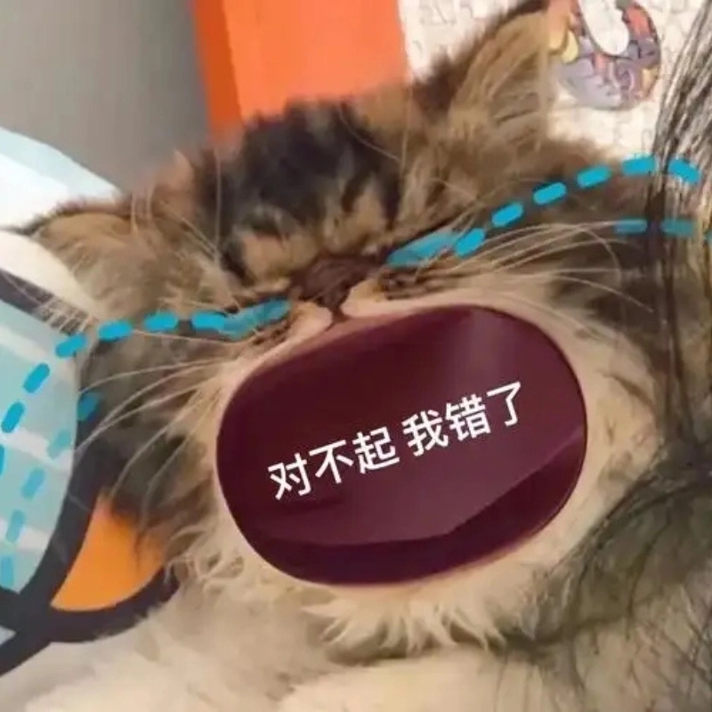 Lỡ làm hư đồ nhà và tự thấy như con mèo khóc meme