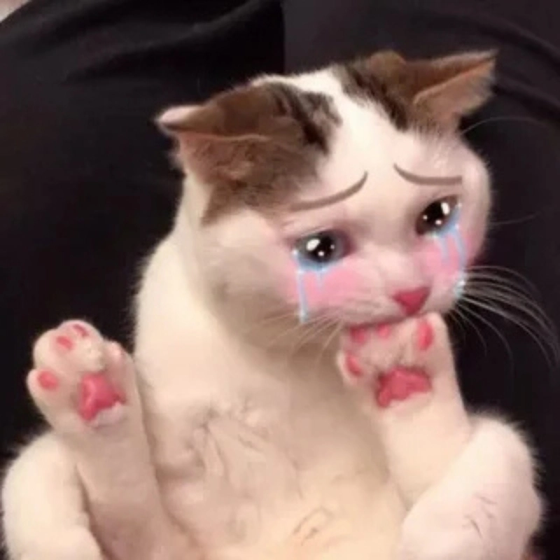 Những lúc buồn nhẹ nhàng cùng khóc meme mèo