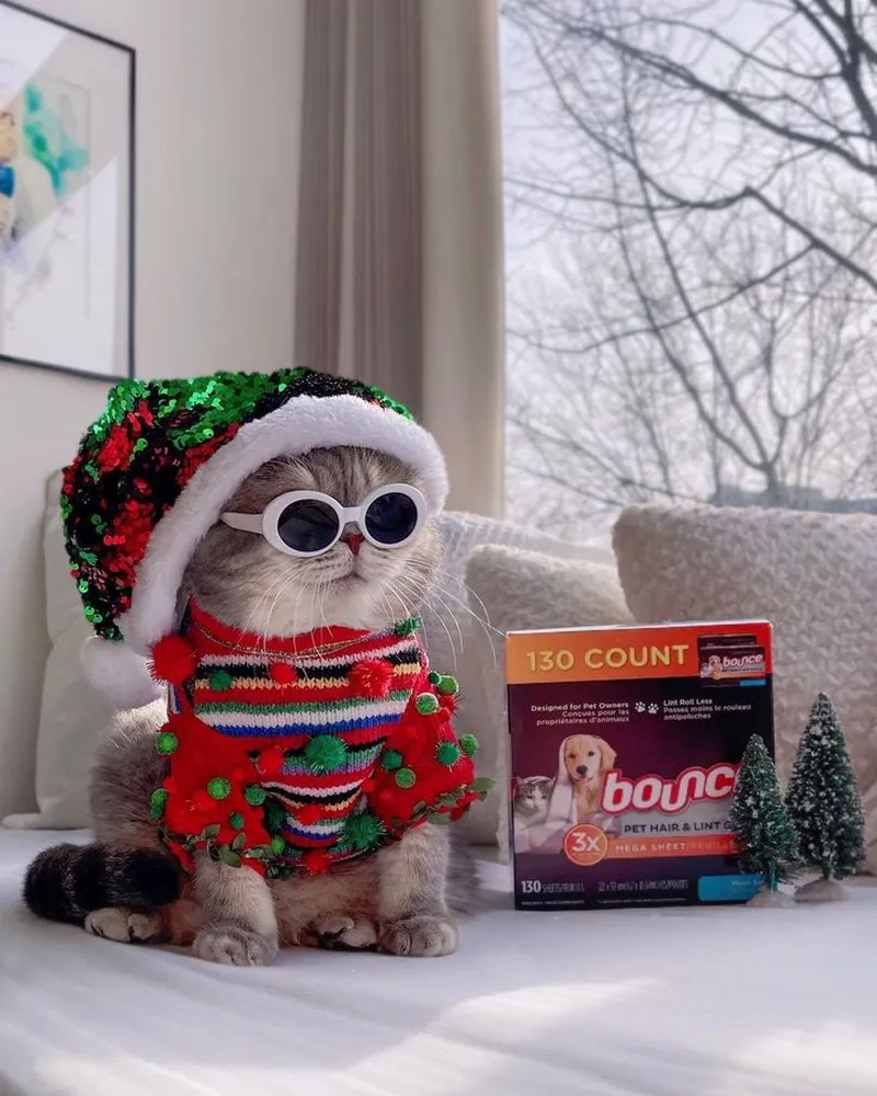 Giải trí cuối năm cùng bộ sưu tập meme noel drole cực hài
