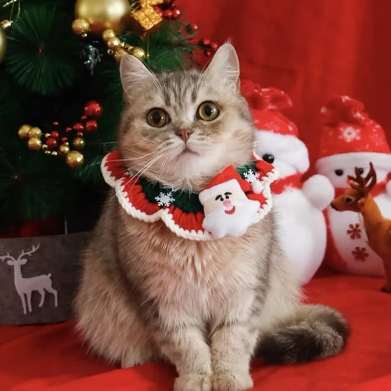 Khám phá ngay ảnh noel vô tri meme hot trend cuối năm