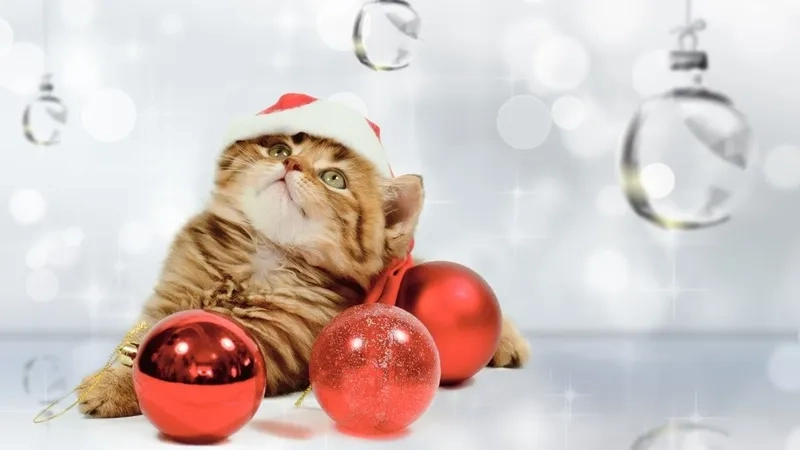 Update phong cách cực ngầu cùng avt meme noel chất lừ