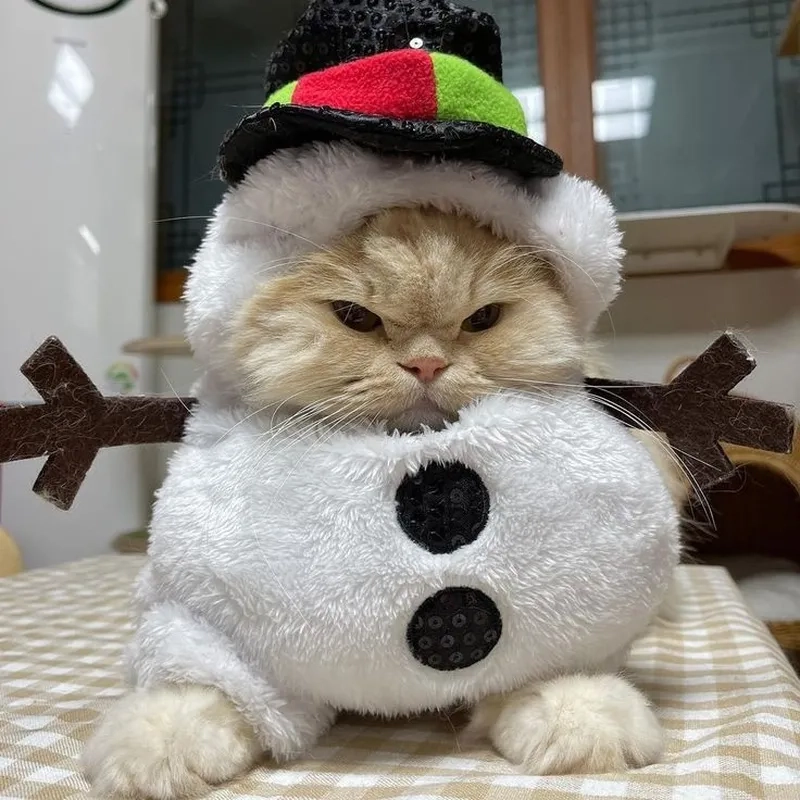 Lạc vào thế giới dễ thương với cat meme noel bá đạo