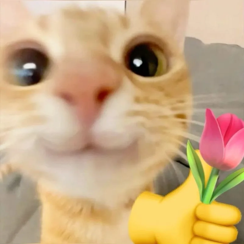 Không thể bỏ qua bông hồng meme mèo cầm hoa siêu dễ thương