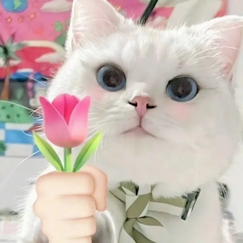 Tràn đầy yêu thương với meme mèo tặng hoa hồng dễ thương