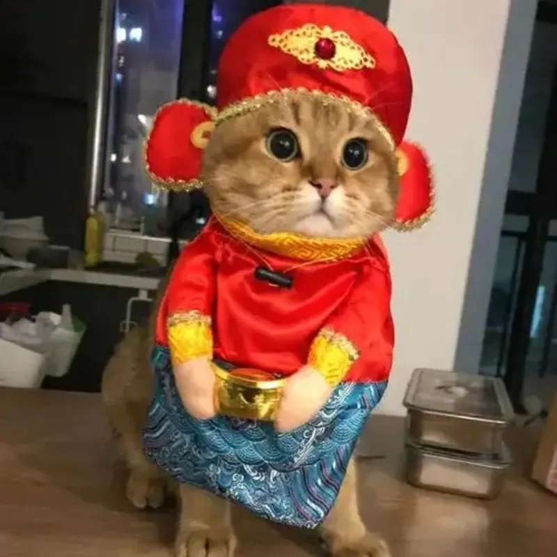 Thêm màu sắc cho Tết với avatar tết meme mèo độc đáo