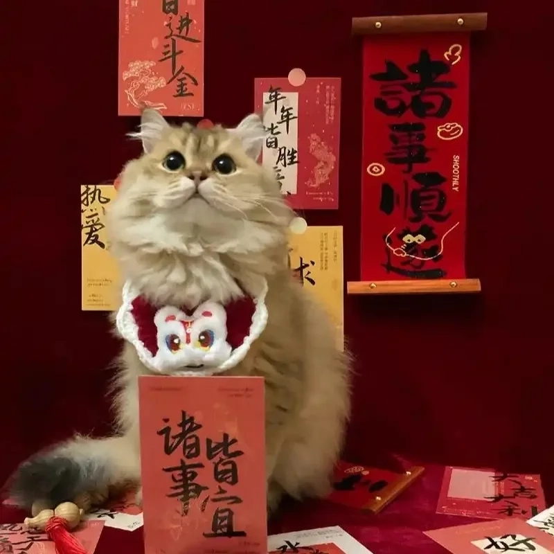 Đón Tết vui nhộn với avt meme mèo tết cực dễ thương