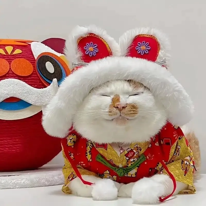 Tết thêm vui cùng avatar con mèo tết meme hài hước