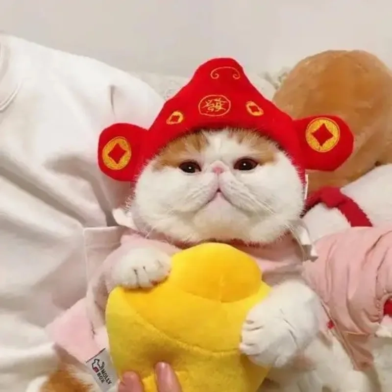 Tạo dấu ấn Tết với avatar meme tết mèo độc đáo