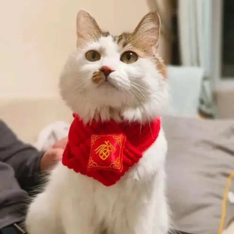 Thêm nét dễ thương cho profile với avatar mèo meme tết