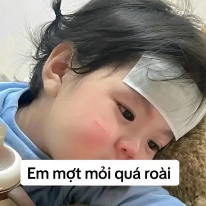 Cả tuần làm việc căng thẳng nhìn thấy meme mệt là muốn nằm luôn