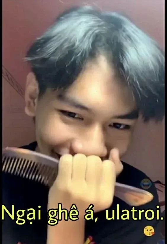 Meme ngại là gì?
