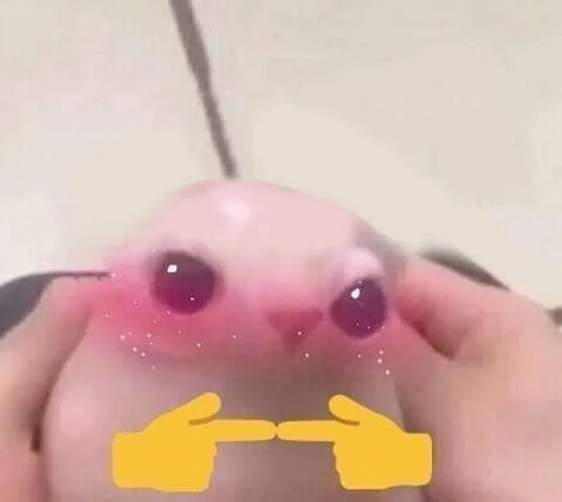 Thấy ai đó cười mà đỏ mặt là meme ngại quá đi