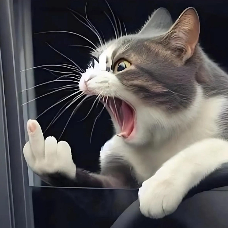 Tổng hợp hài hước meme ngón tay giữa cực chất