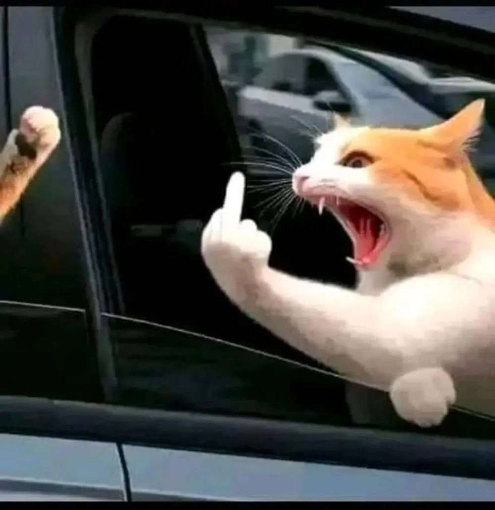 Chia sẻ ngay meme dơ ngón giữa để troll bạn bè