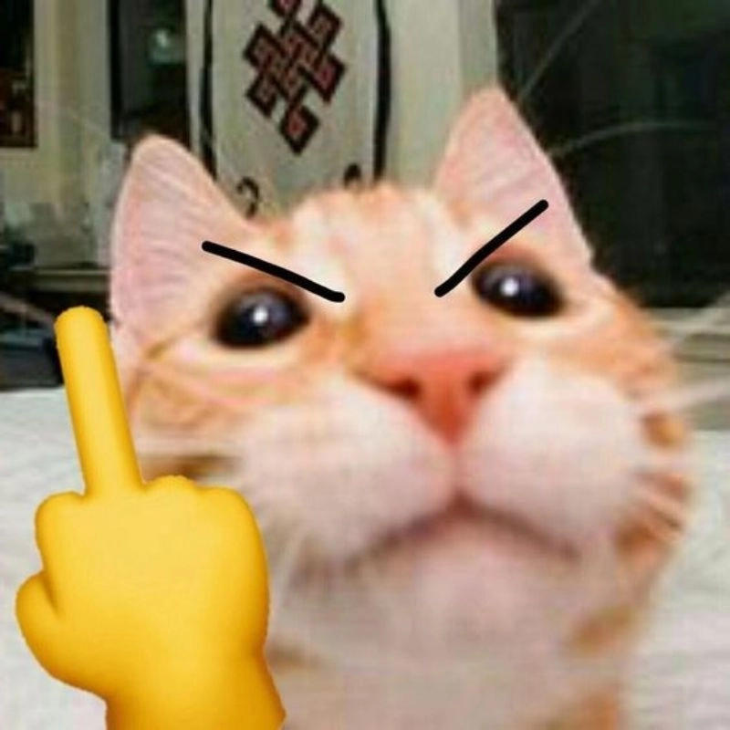 Khám phá ý nghĩa của ngón giữa meme trong giới trẻ