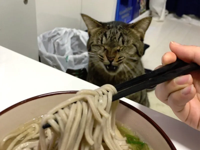 Bật cười mỗi ngày nhờ nissin meme noodles cực vui