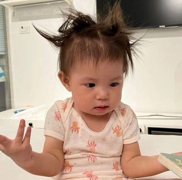 Thư viện hài hước từ meme của pam khiến bạn cười ngất