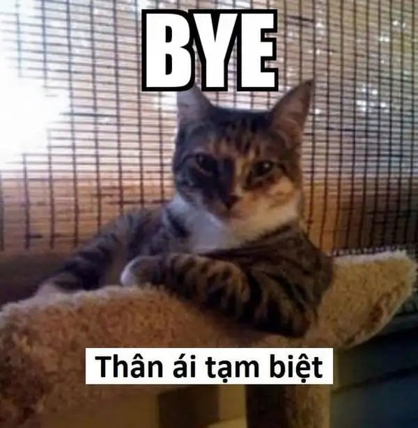 Cười thả ga cùng hình ảnh tạm biệt hài hước