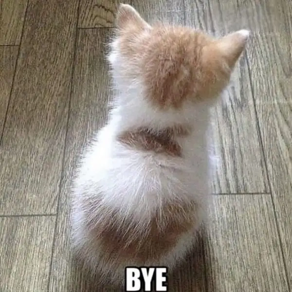 Hãy click để xem bye meme cực bá đạo