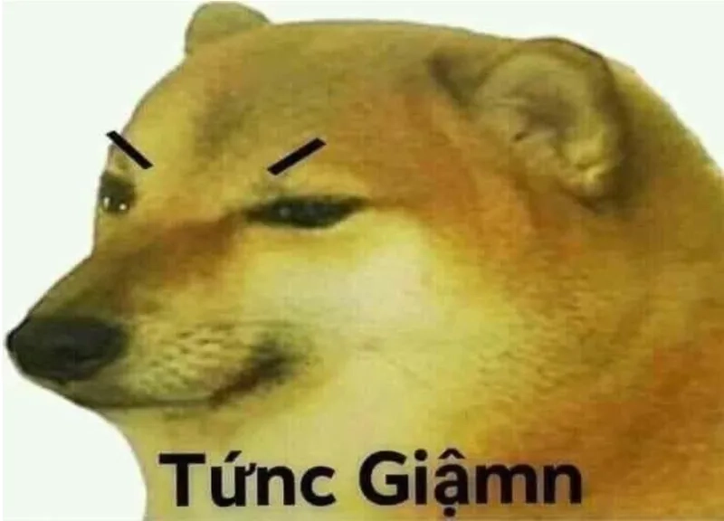Khi crush làm bạn bực mình đúng chuẩn tức giận meme