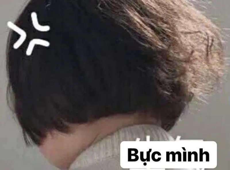 Khi drama đời thực quá lầy là meme tức giận hài
