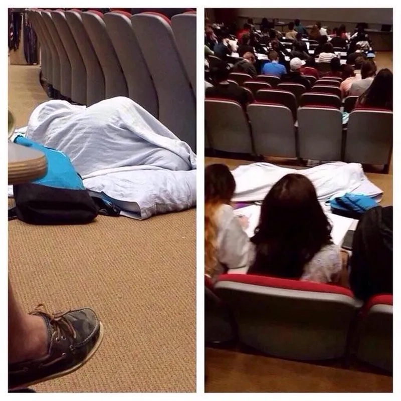 Cười nghiêng ngả với bộ sưu tập professor memes